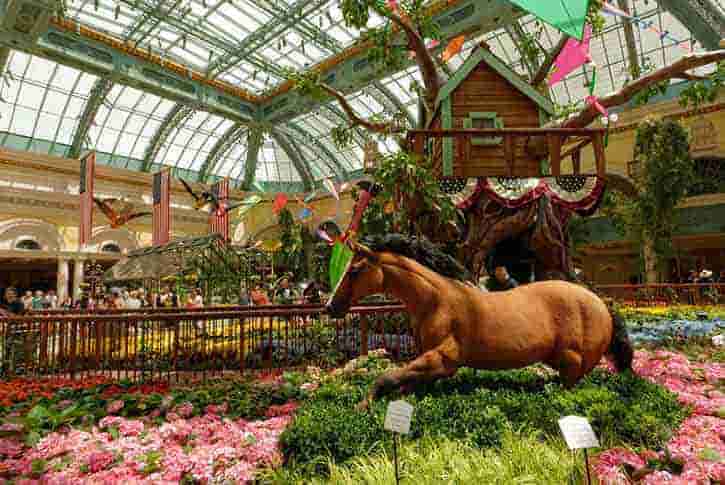 Bellagio Conservatory and Botanical Gardens