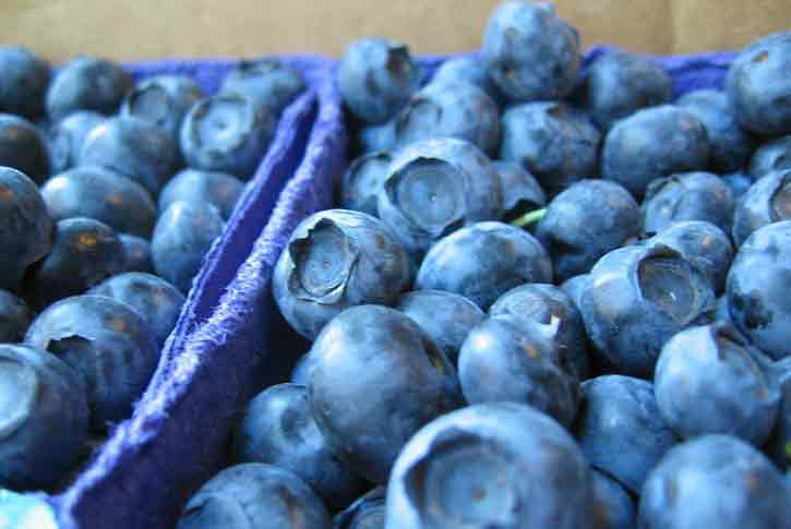 Bowerman Blueberries Farm Market