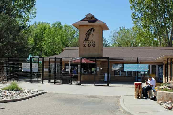 Is Pueblo Zoo worth the visit