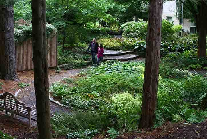 Ithaca Botanic Gardens