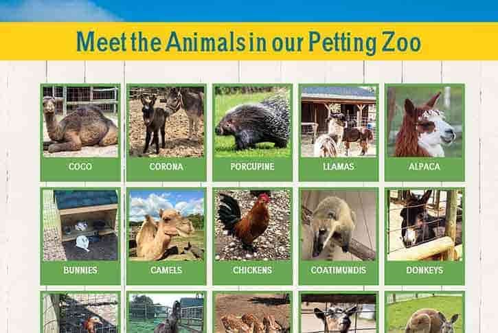 Ludington Petting Zoo