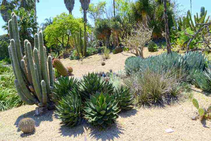 Orange County Botanical Gardens