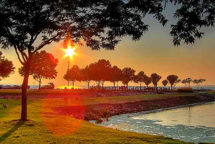 Shoreline Park