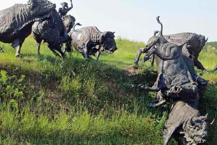 Tatanka Story of the Bison