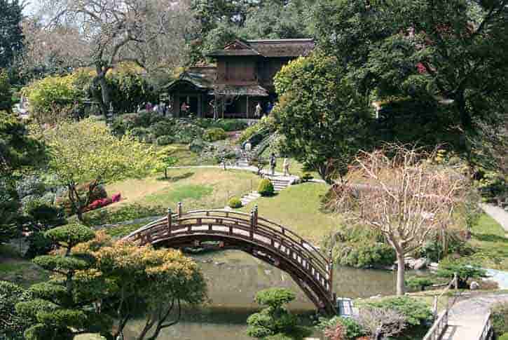 The Huntington Library Art Museum and Botanical Gardens