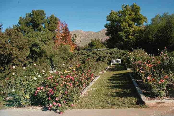 UC Riverdale Botanical Gardens