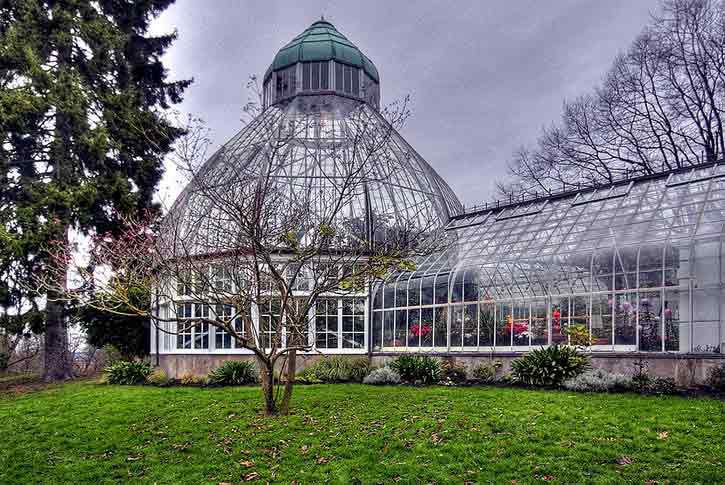 WW Seymour Botanical Conservatory